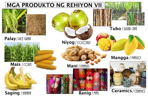 mga produkto sa mindanao|[Expert Answer] mga produkto sa mindanao .